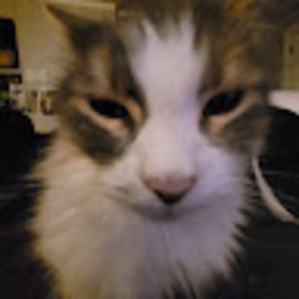 Meet your Posher, Coda